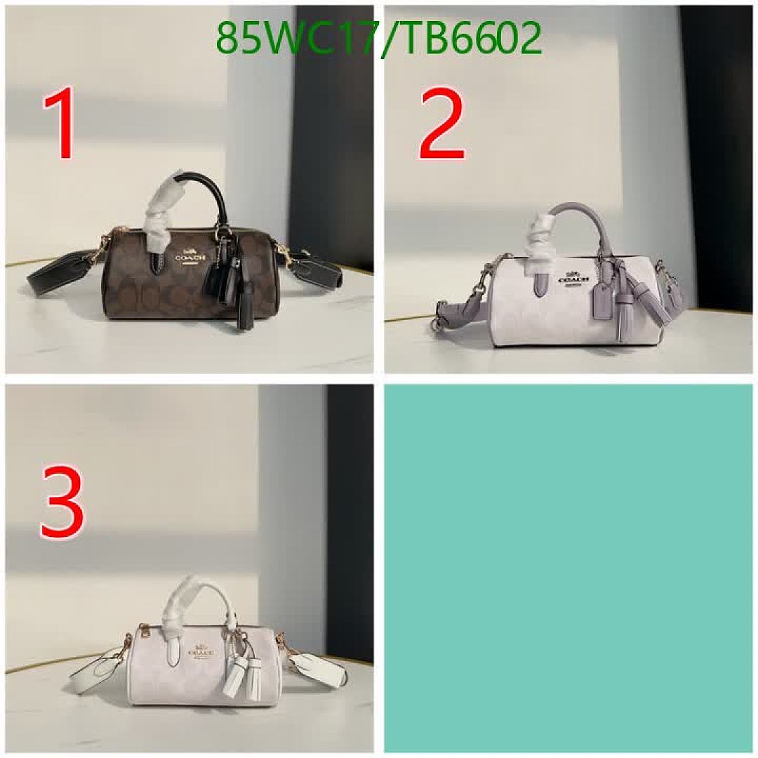 Coach-Bags(4A) Code: TB6602 $: 85USD