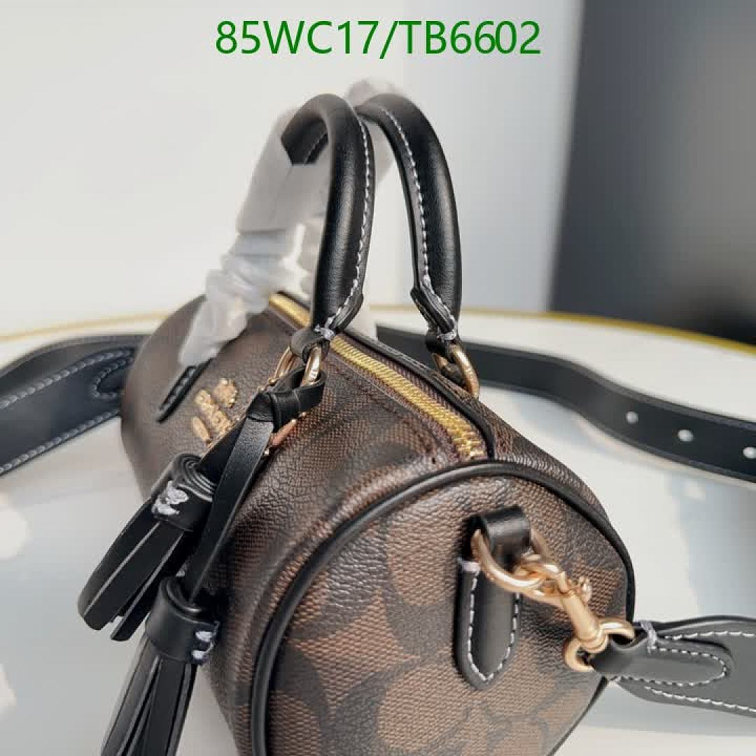 Coach-Bags(4A) Code: TB6602 $: 85USD