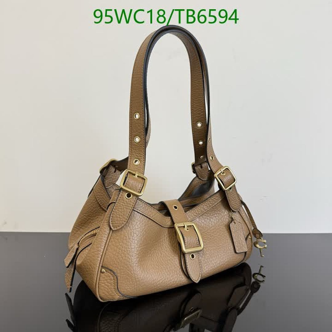 Coach-Bags(4A) Code: TB6594 $: 95USD