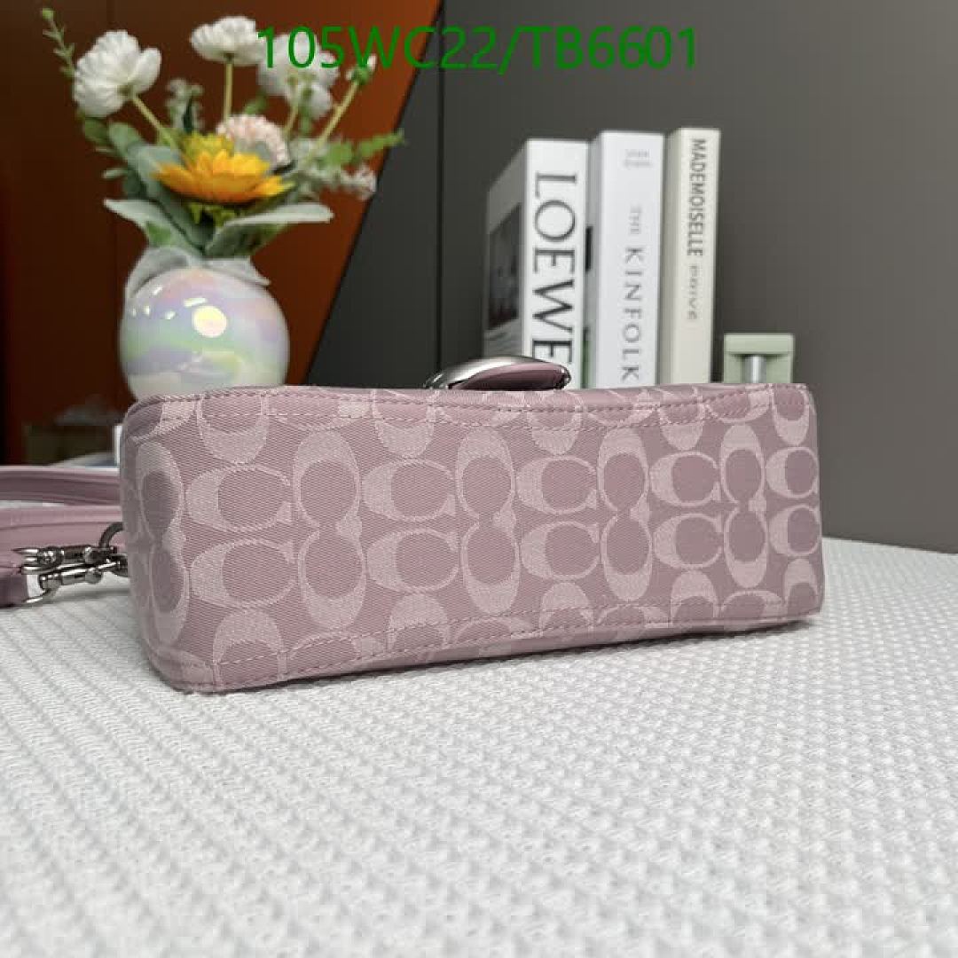 Coach-Bags(4A) Code: TB6601 $: 105USD