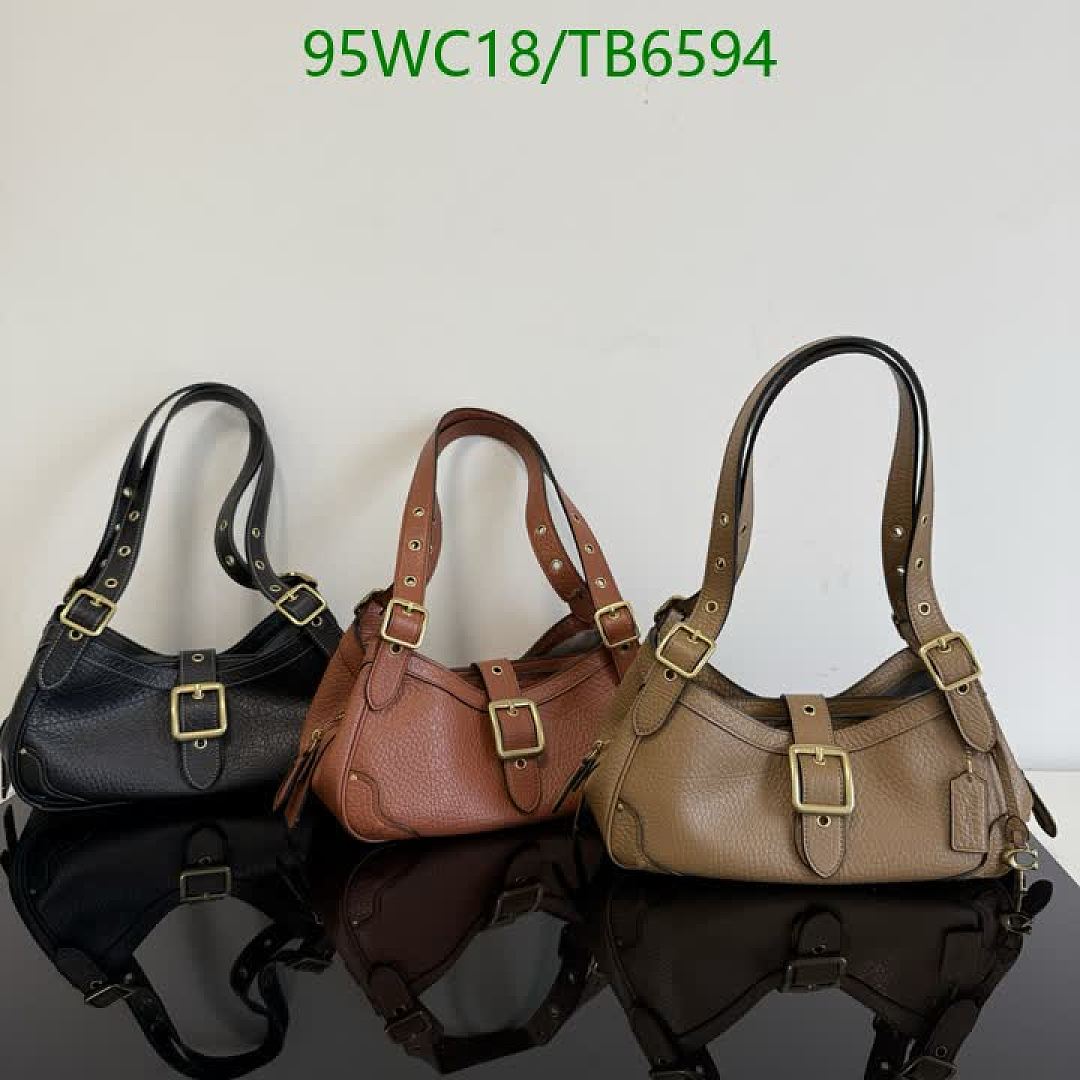 Coach-Bags(4A) Code: TB6594 $: 95USD