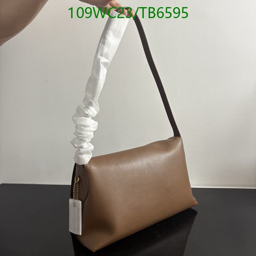Coach-Bags(4A) Code: TB6595 $: 109USD