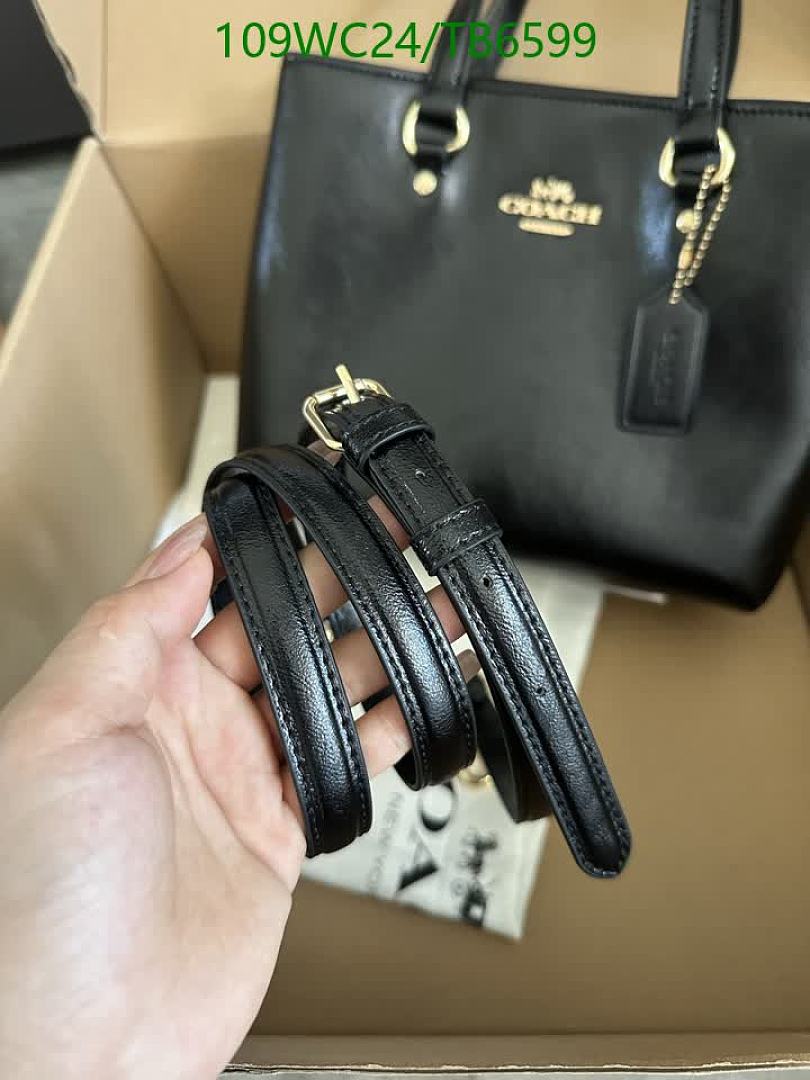 Coach-Bags(4A) Code: TB6599 $: 109USD