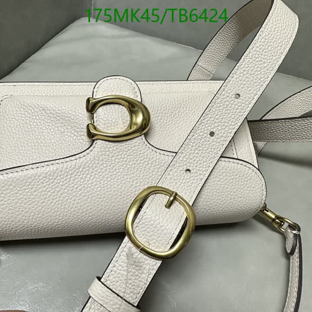 Coach-Bags(5A) Code: TB6424 $: 175USD