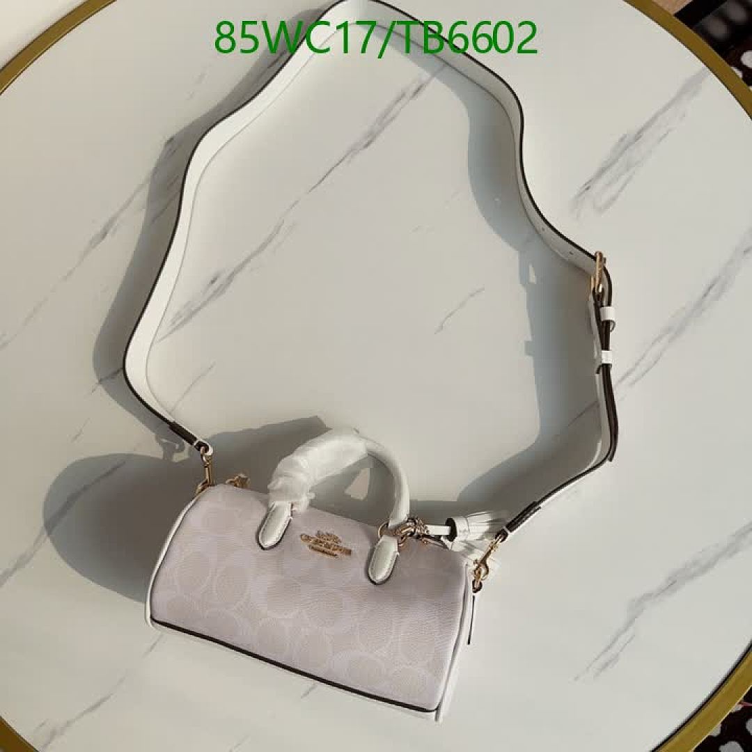 Coach-Bags(4A) Code: TB6602 $: 85USD