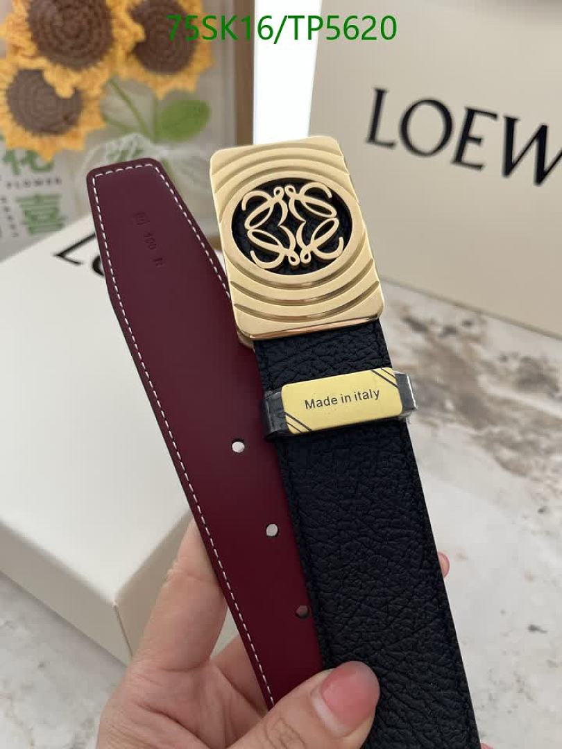 Loewe-Belts Code: TP5620 $: 75USD