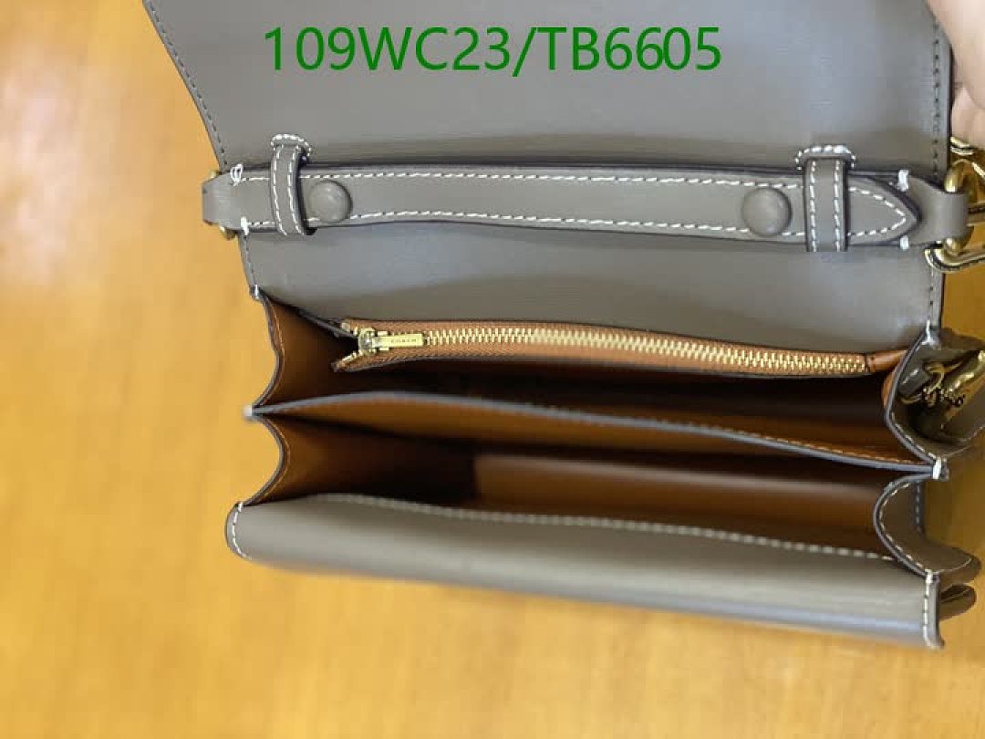 Coach-Bags(4A) Code: TB6605 $: 109USD