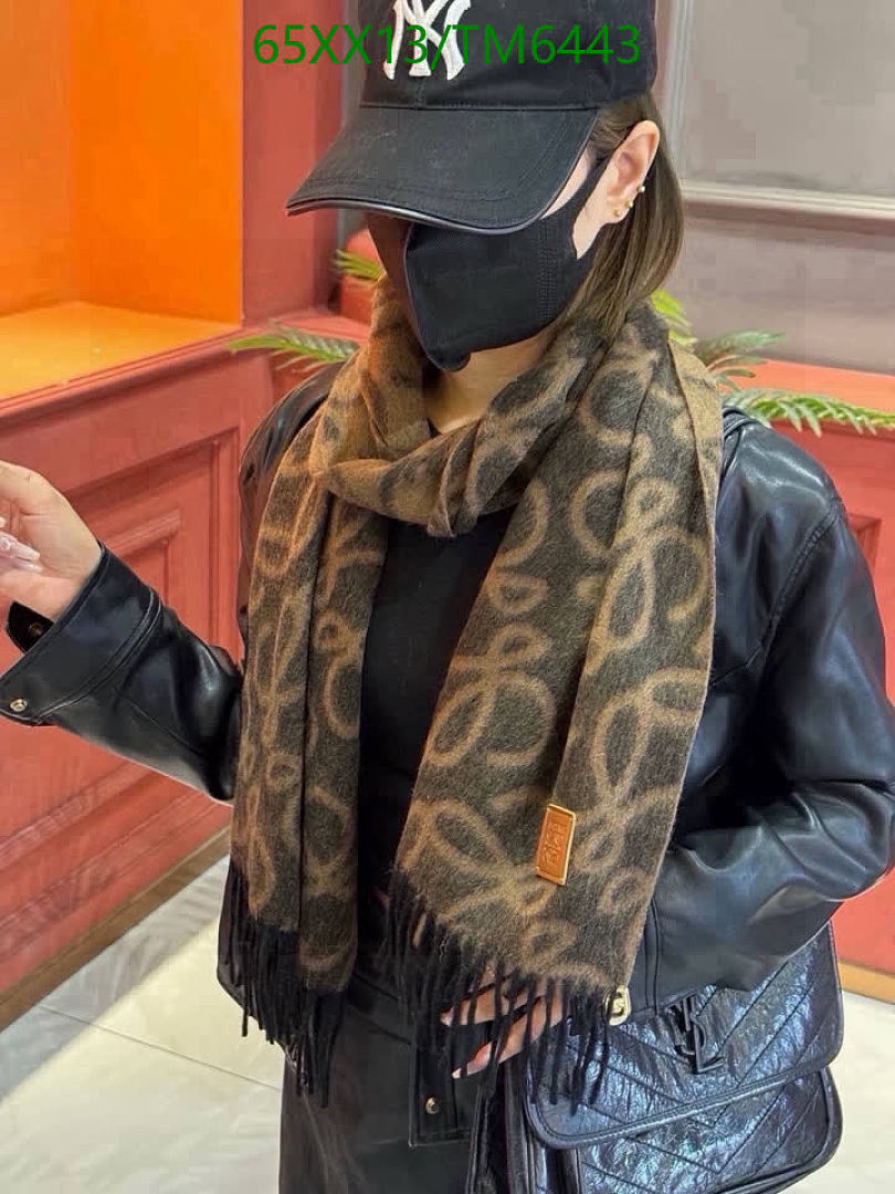 Loewe-Scarves Code: TM6443 $: 65USD