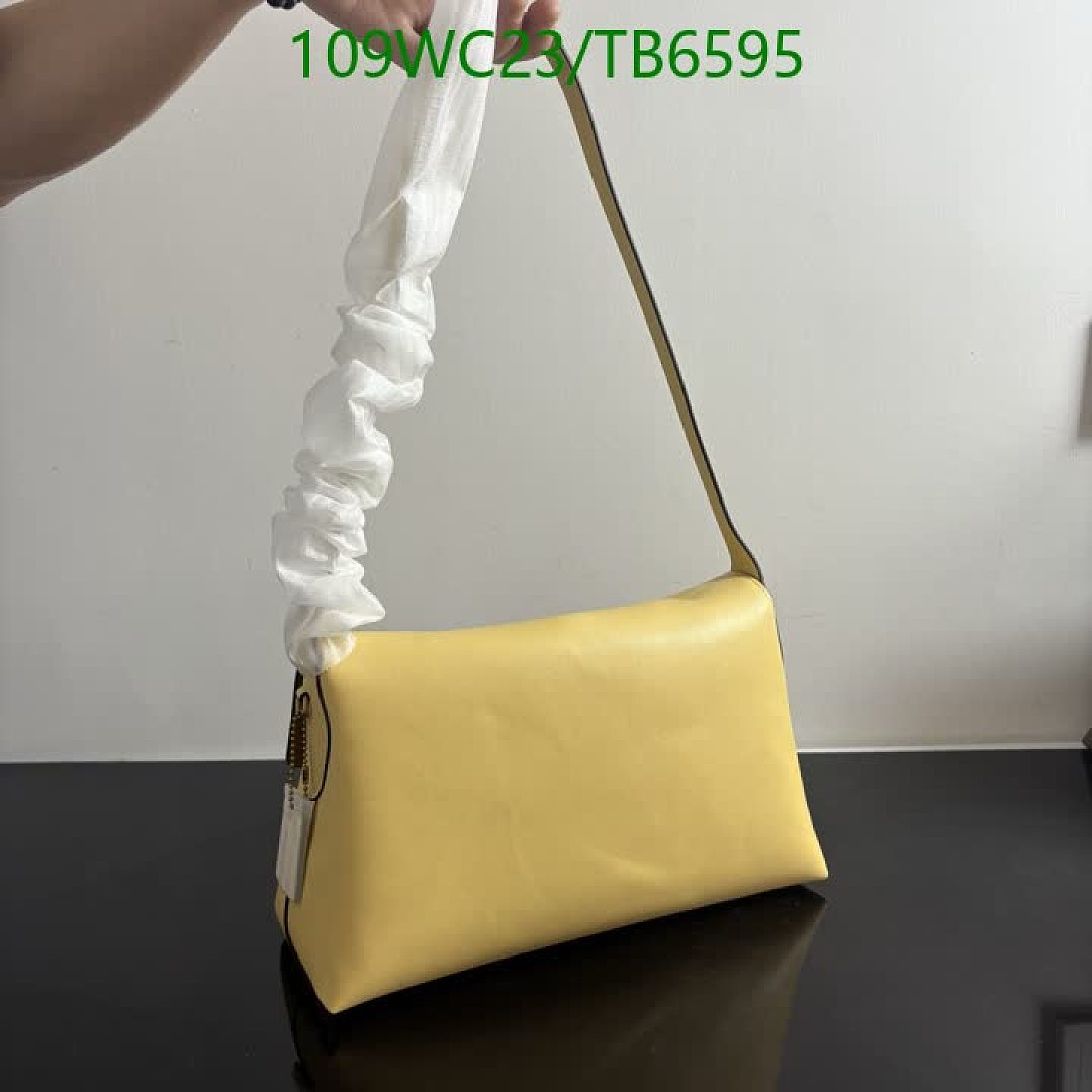 Coach-Bags(4A) Code: TB6595 $: 109USD
