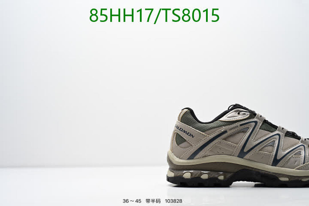Salomon-Shoes(Men) Code: TS8015 $: 85USD