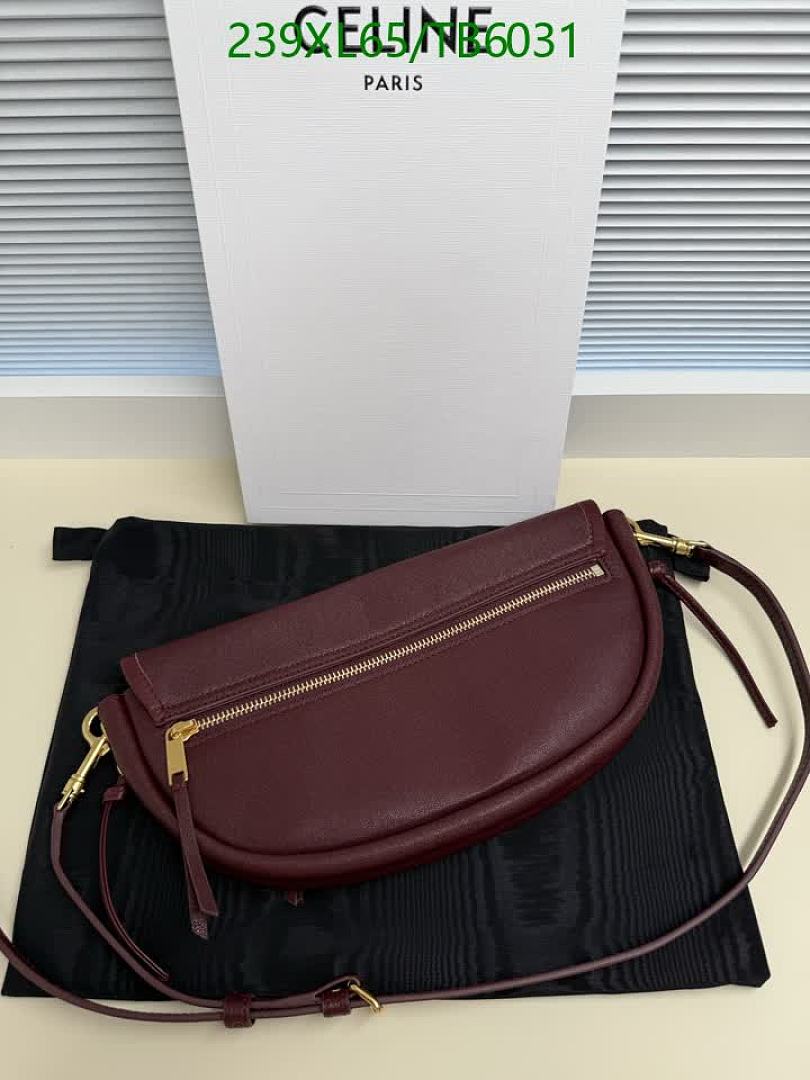 Celine-Bags(5A) Code: TB6031 $: 239USD