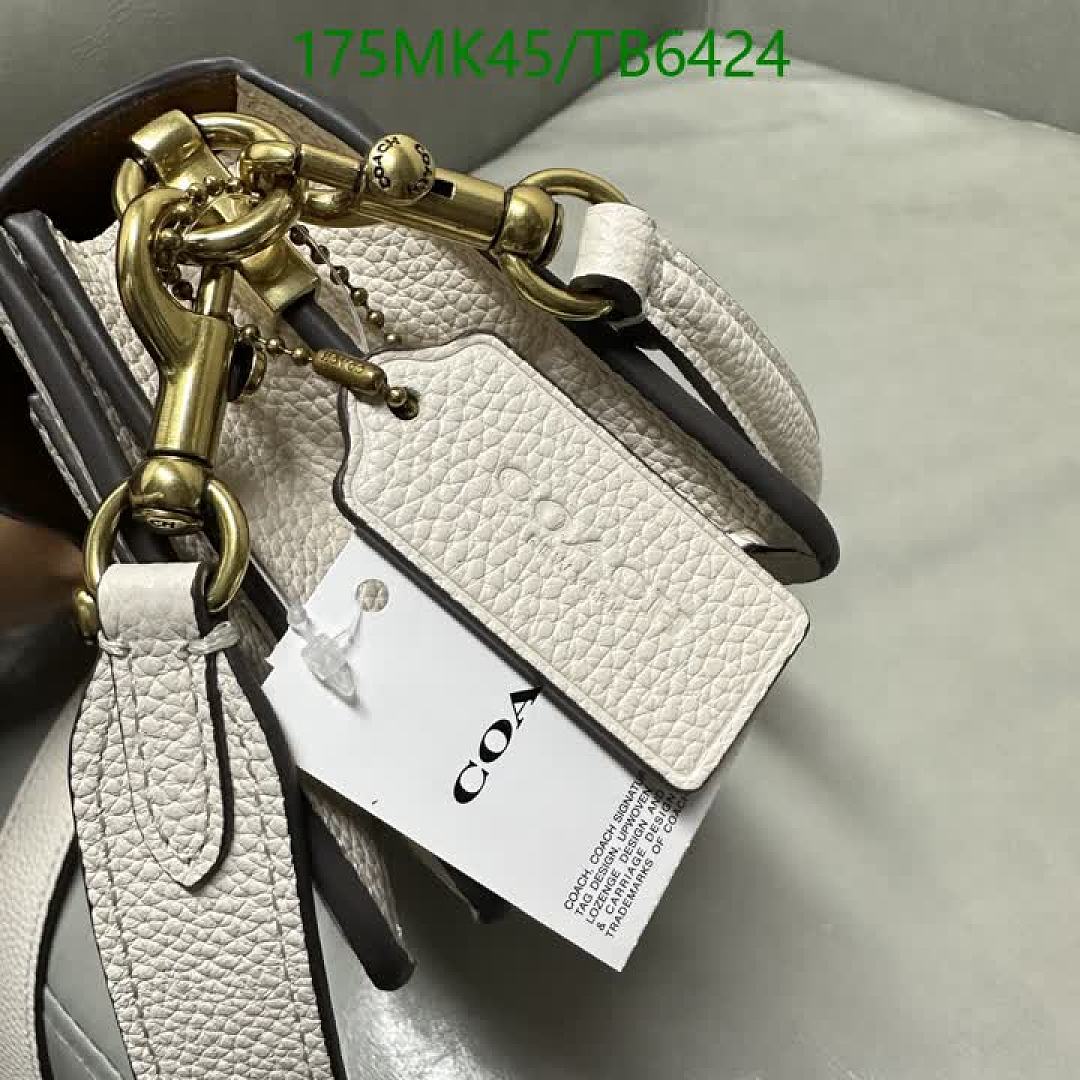 Coach-Bags(5A) Code: TB6424 $: 175USD