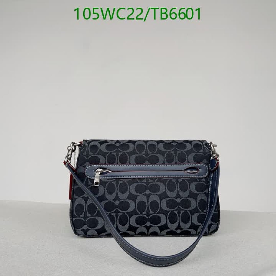 Coach-Bags(4A) Code: TB6601 $: 105USD