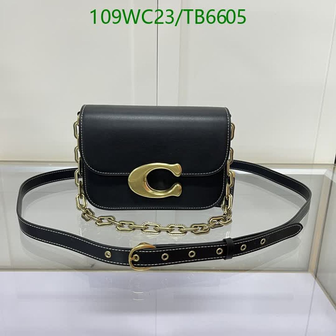 Coach-Bags(4A) Code: TB6605 $: 109USD