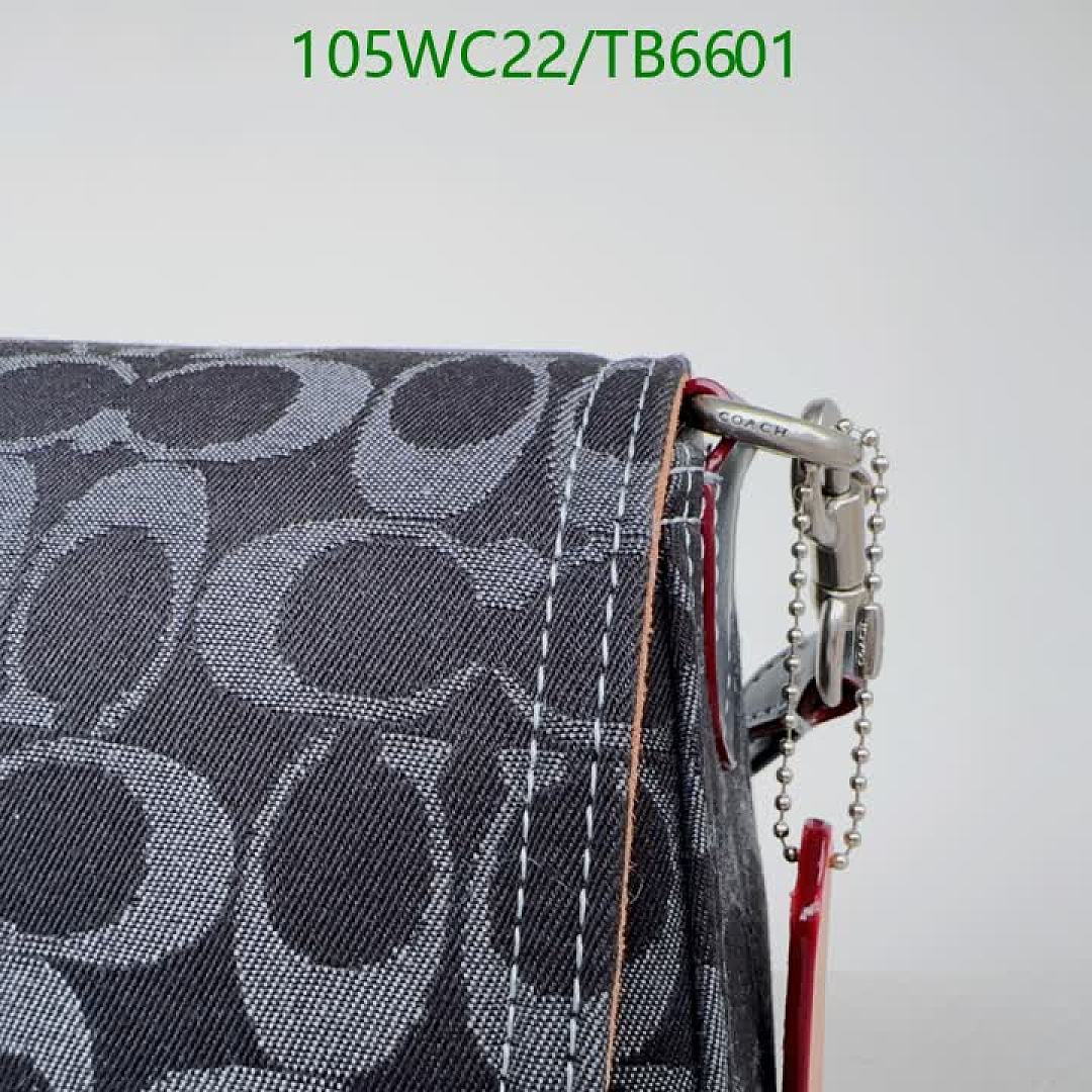Coach-Bags(4A) Code: TB6601 $: 105USD