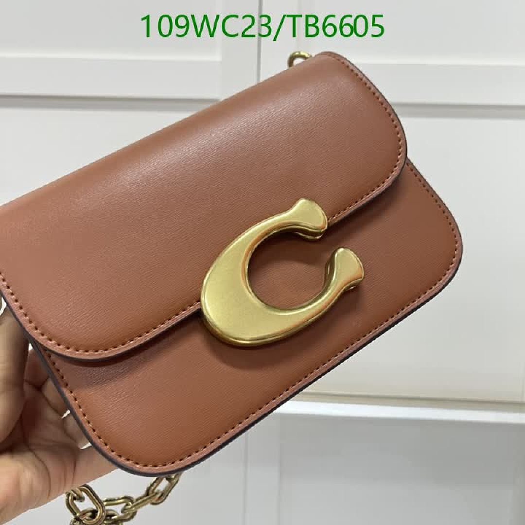 Coach-Bags(4A) Code: TB6605 $: 109USD