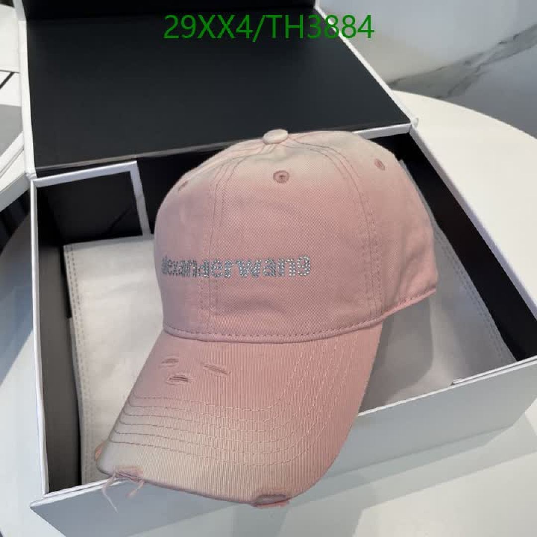 Alexander Wang-Hats Code: TH3884 $: 29USD