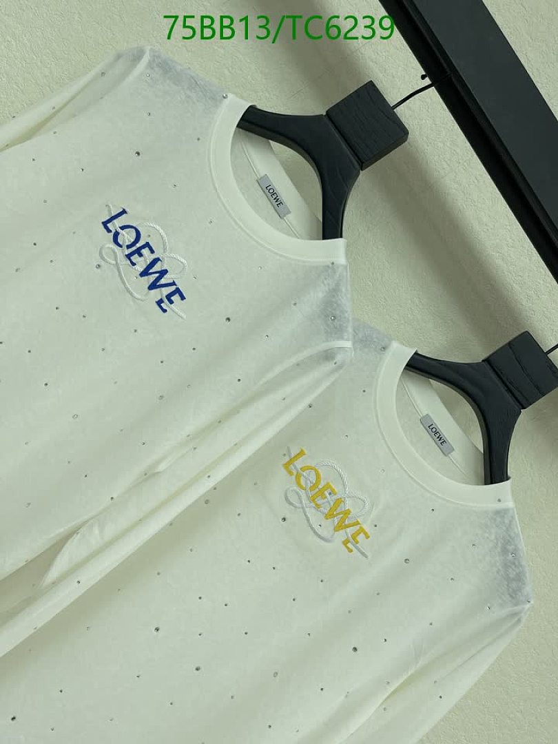 Loewe-Clothing Code: TC6239 $: 75USD