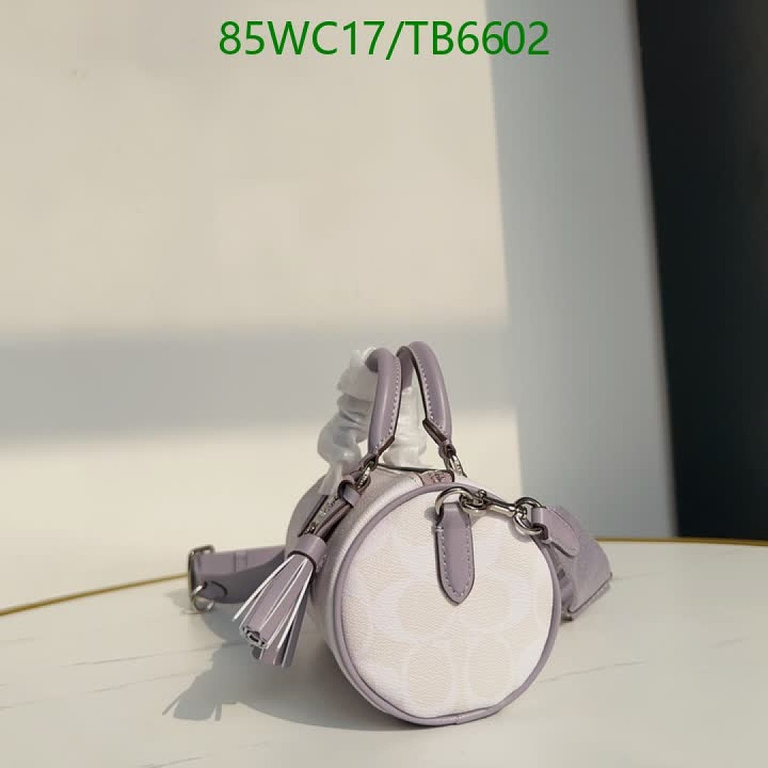 Coach-Bags(4A) Code: TB6602 $: 85USD