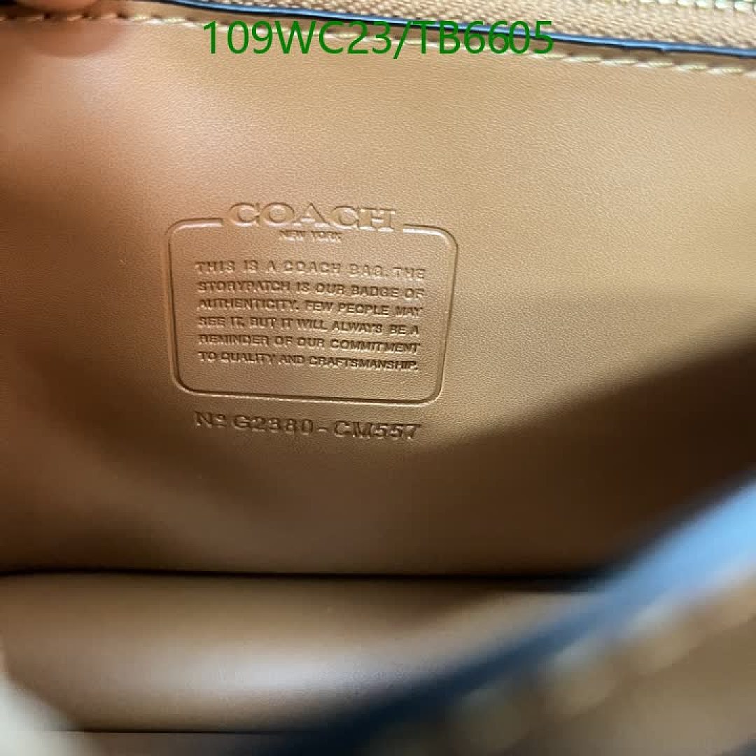 Coach-Bags(4A) Code: TB6605 $: 109USD