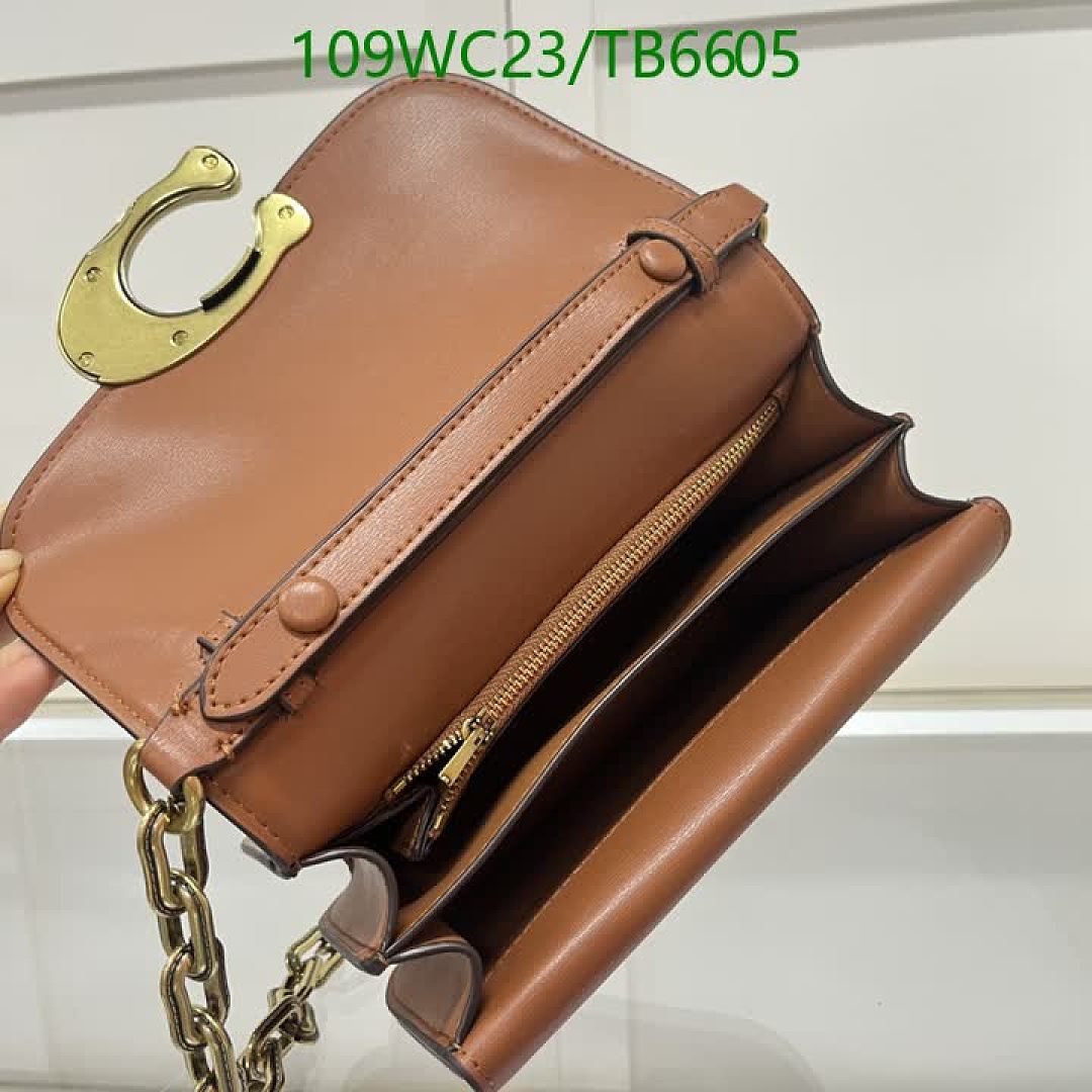 Coach-Bags(4A) Code: TB6605 $: 109USD