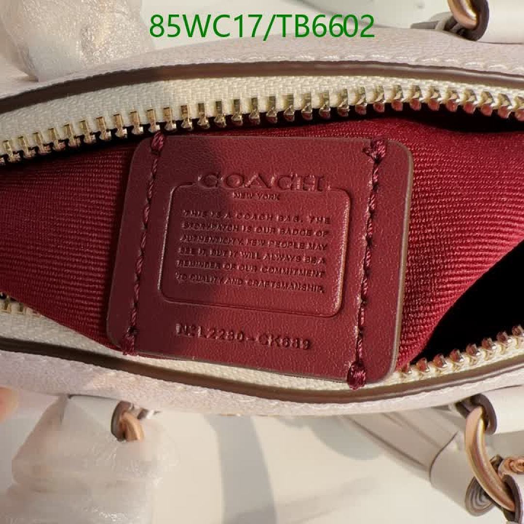 Coach-Bags(4A) Code: TB6602 $: 85USD