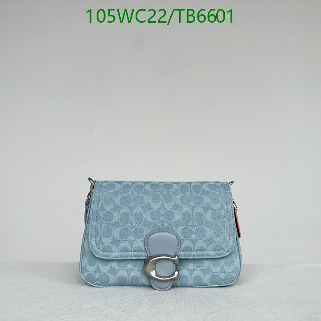 Coach-Bags(4A) Code: TB6601 $: 105USD