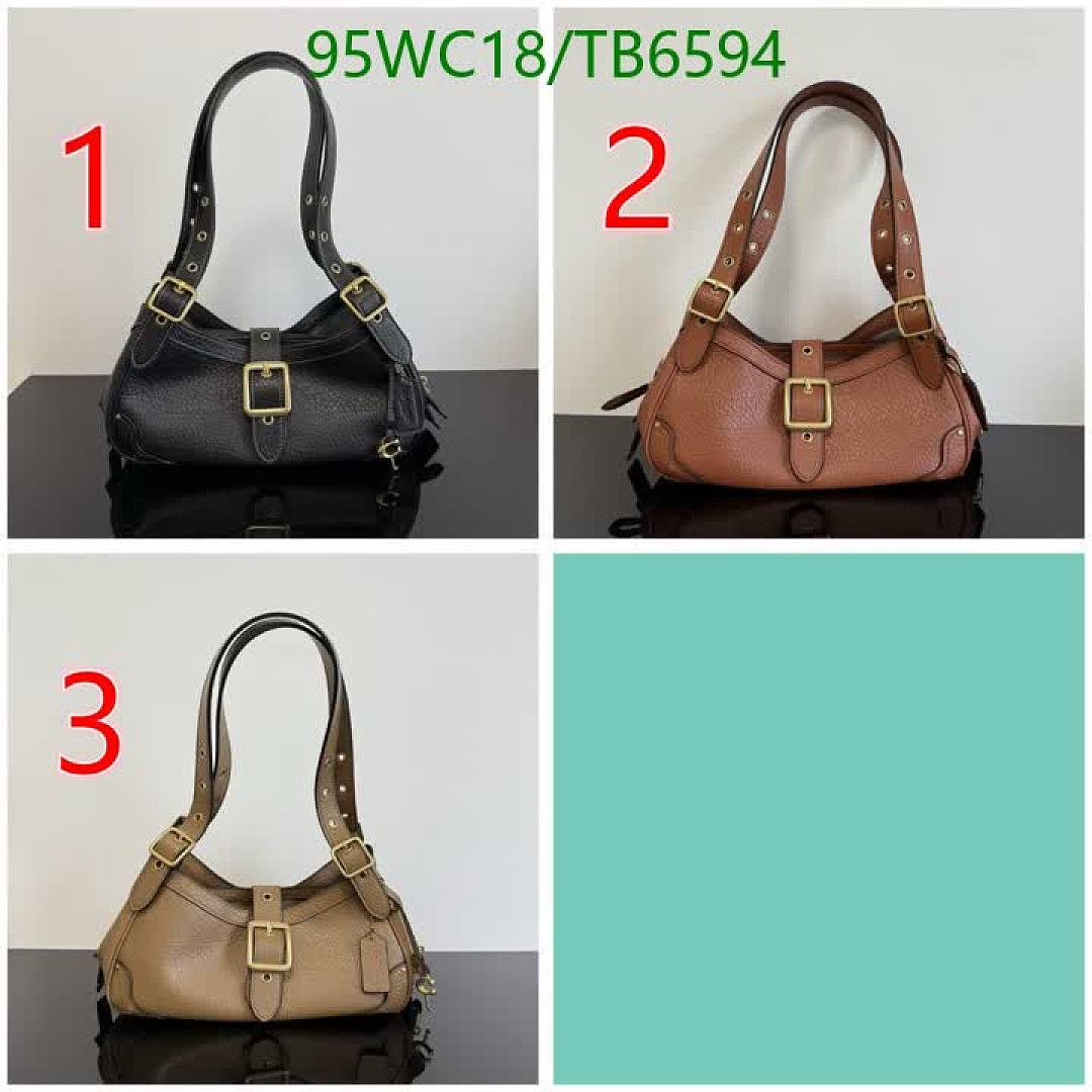 Coach-Bags(4A) Code: TB6594 $: 95USD