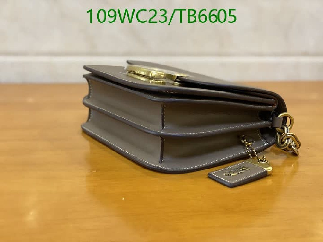 Coach-Bags(4A) Code: TB6605 $: 109USD