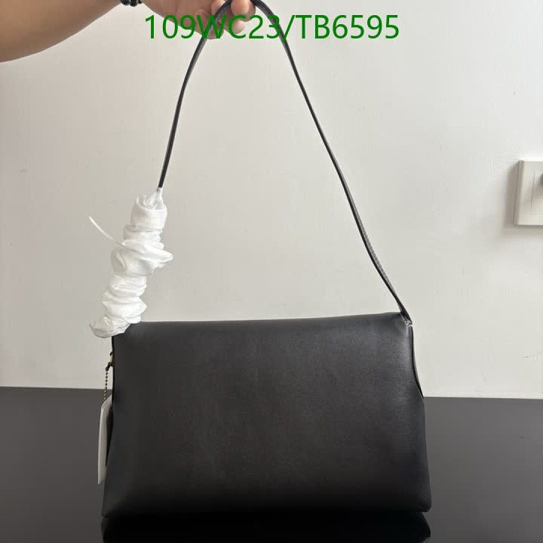 Coach-Bags(4A) Code: TB6595 $: 109USD