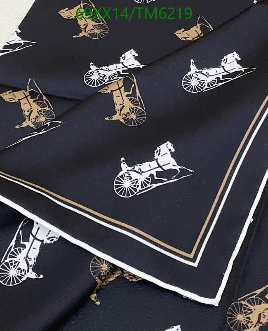 Celine-Scarves Code: TM6219 $: 69USD