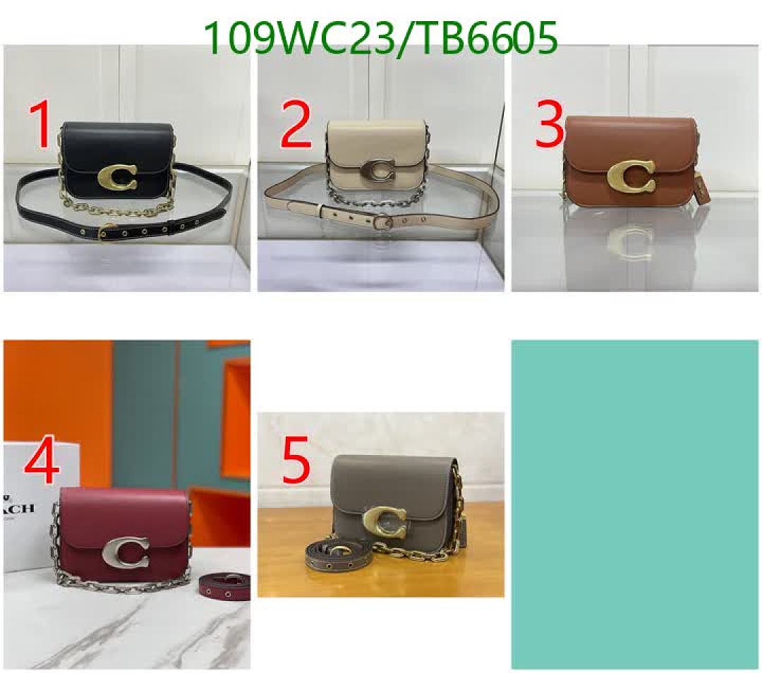 Coach-Bags(4A) Code: TB6605 $: 109USD