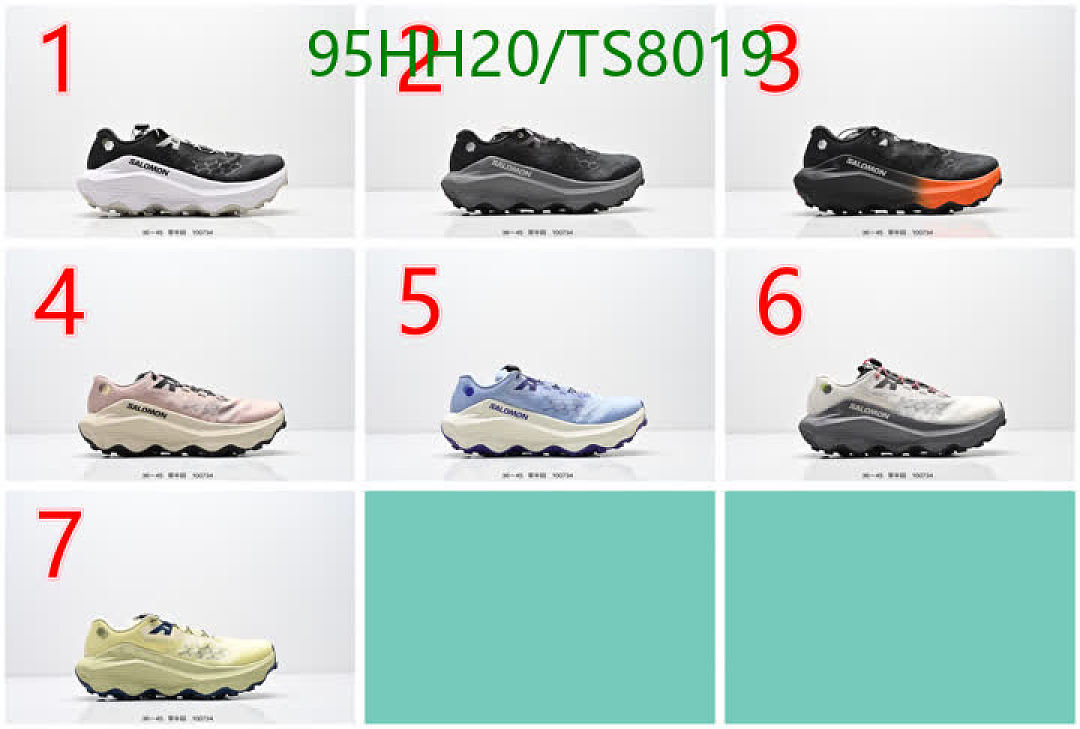 Salomon-Shoes(Men) Code: TS8019 $: 95USD