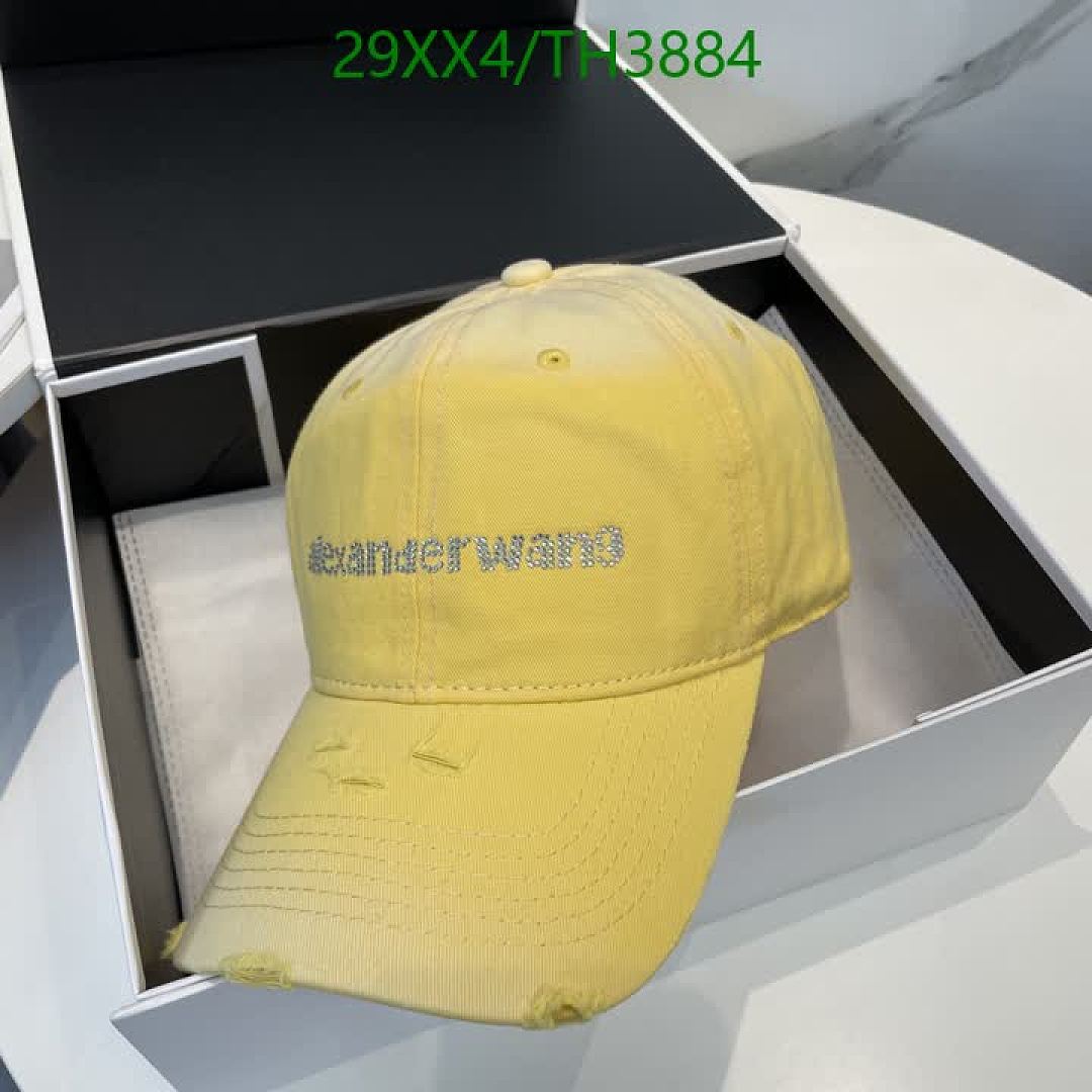 Alexander Wang-Hats Code: TH3884 $: 29USD