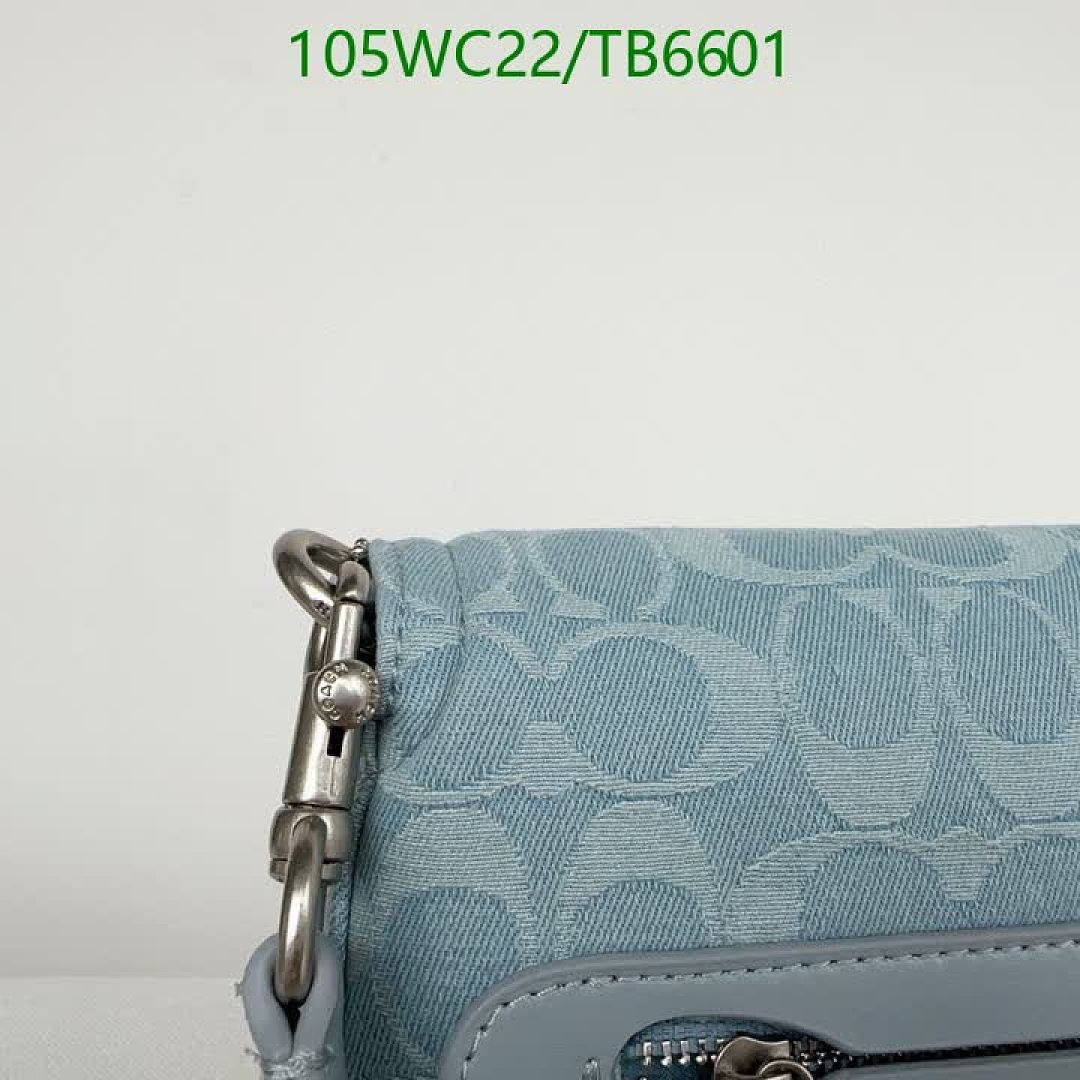 Coach-Bags(4A) Code: TB6601 $: 105USD