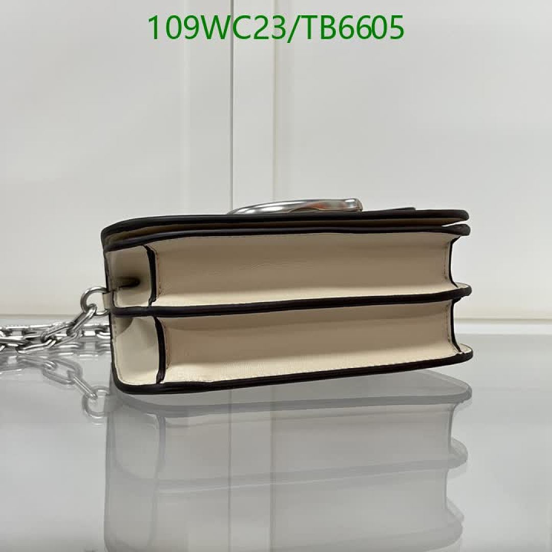 Coach-Bags(4A) Code: TB6605 $: 109USD