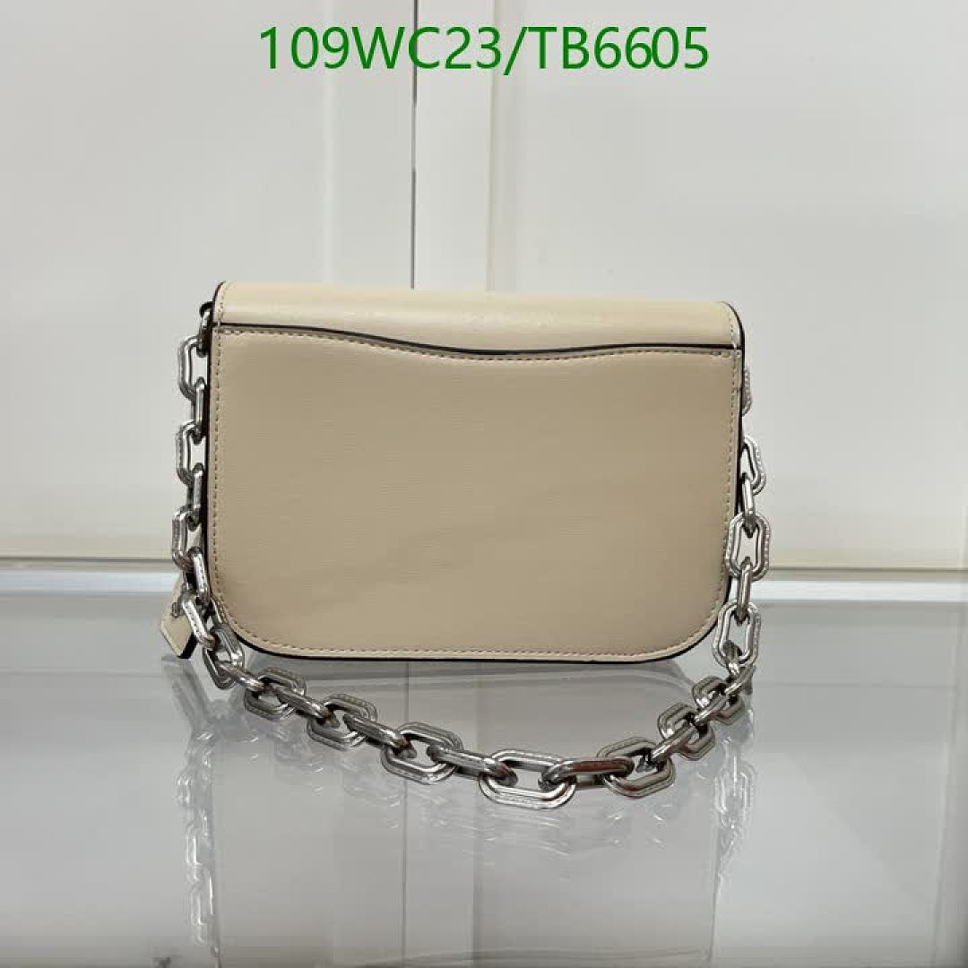 Coach-Bags(4A) Code: TB6605 $: 109USD