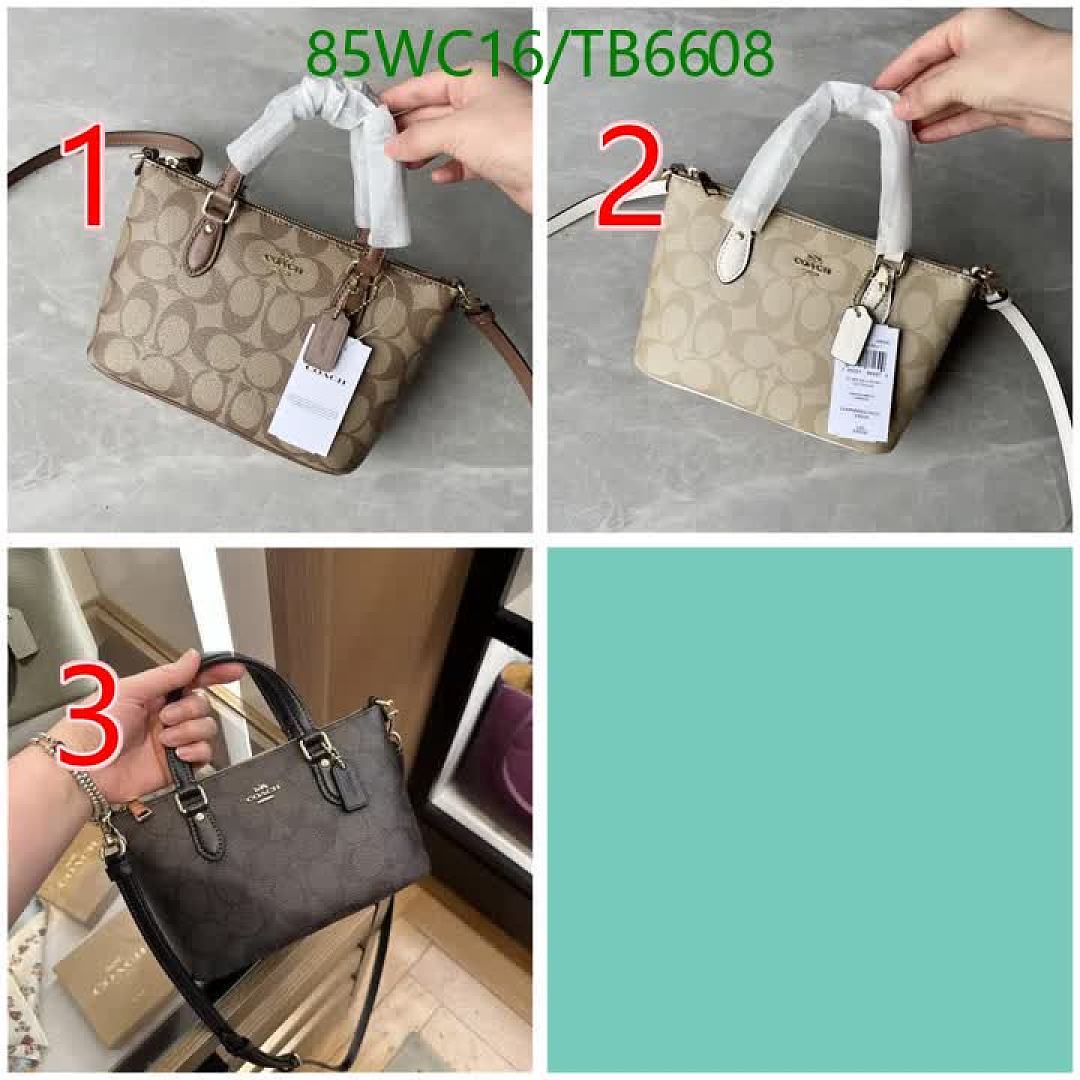 Coach-Bags(4A) Code: TB6608 $: 85USD