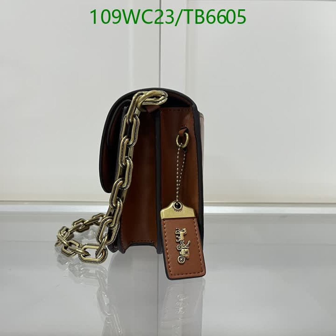 Coach-Bags(4A) Code: TB6605 $: 109USD