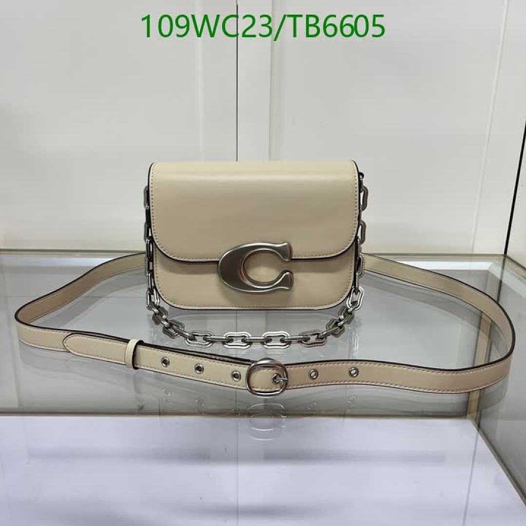 Coach-Bags(4A) Code: TB6605 $: 109USD