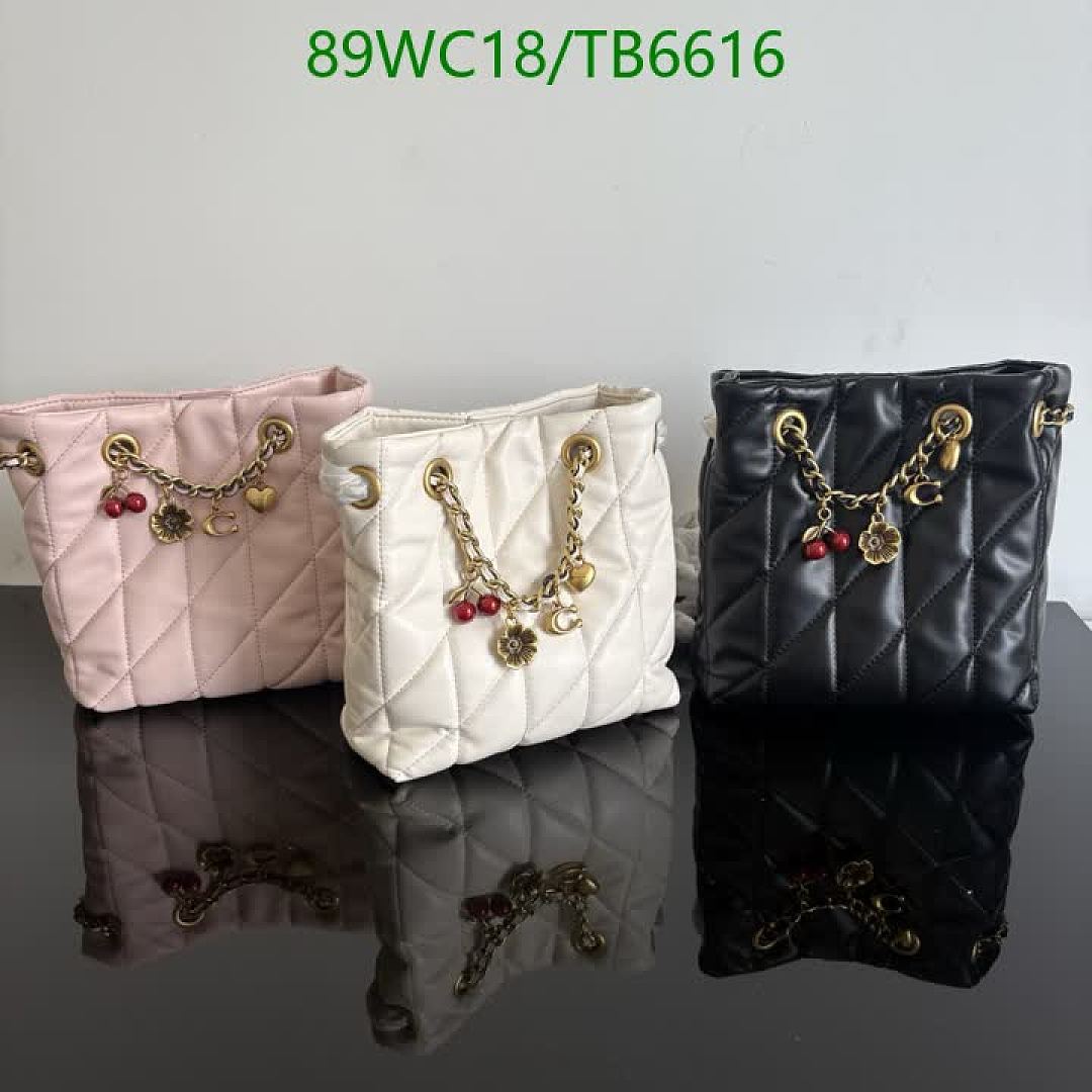 Coach-Bags(4A) Code: TB6616 $: 89USD