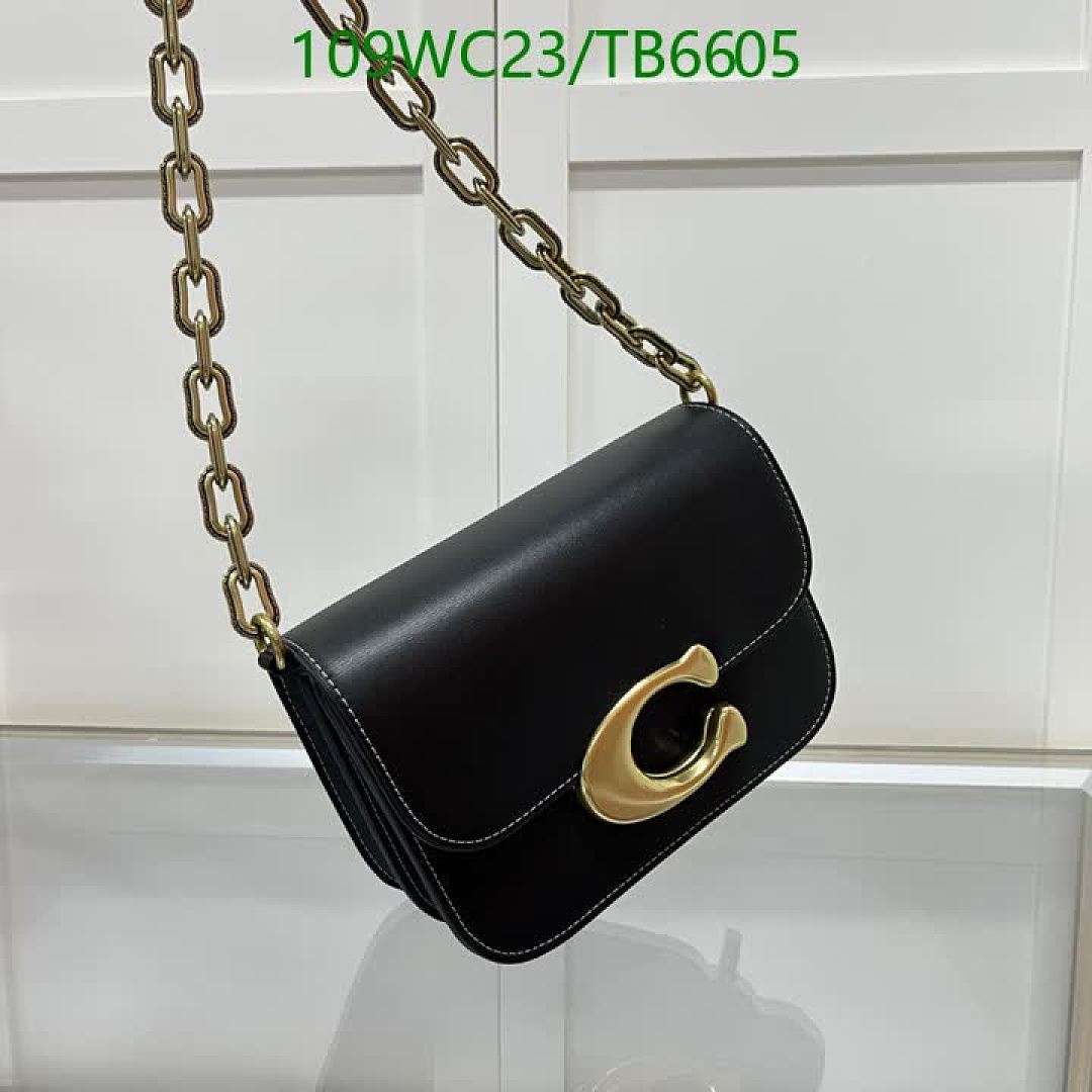Coach-Bags(4A) Code: TB6605 $: 109USD