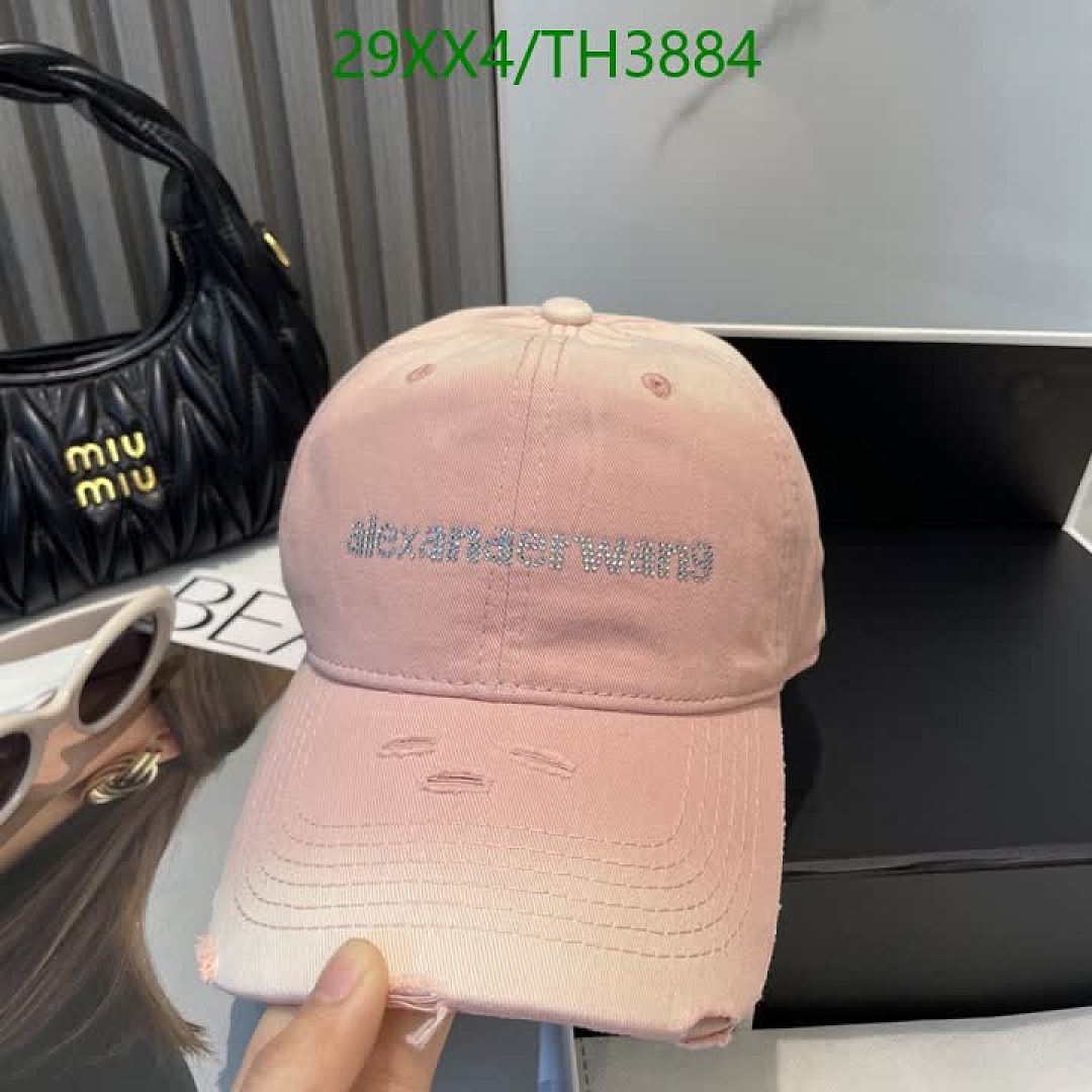 Alexander Wang-Hats Code: TH3884 $: 29USD