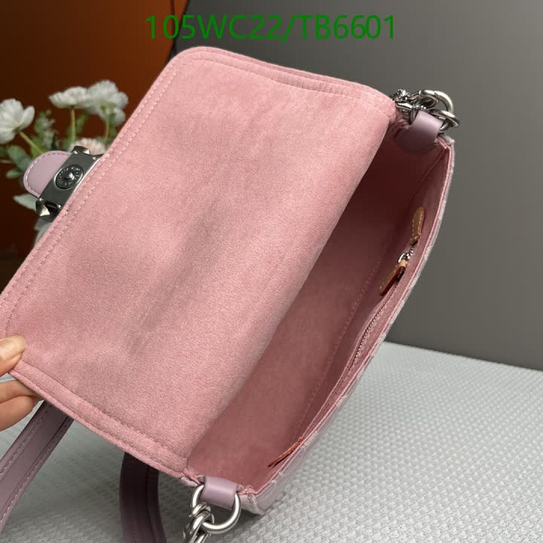 Coach-Bags(4A) Code: TB6601 $: 105USD