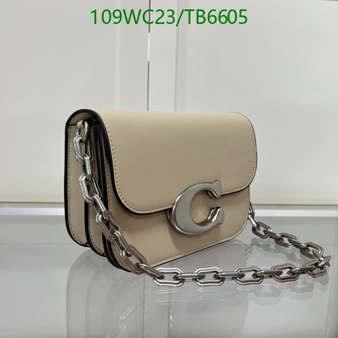 Coach-Bags(4A) Code: TB6605 $: 109USD