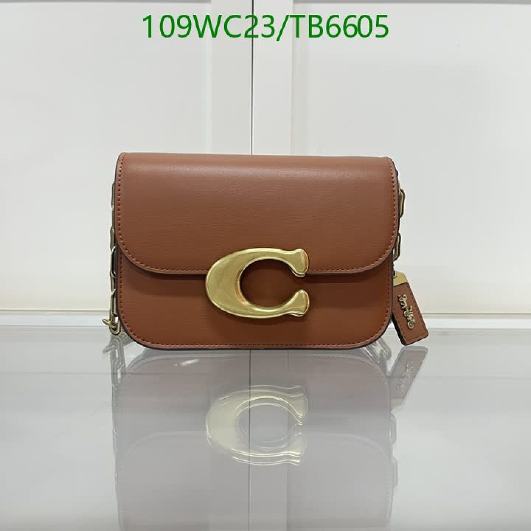 Coach-Bags(4A) Code: TB6605 $: 109USD