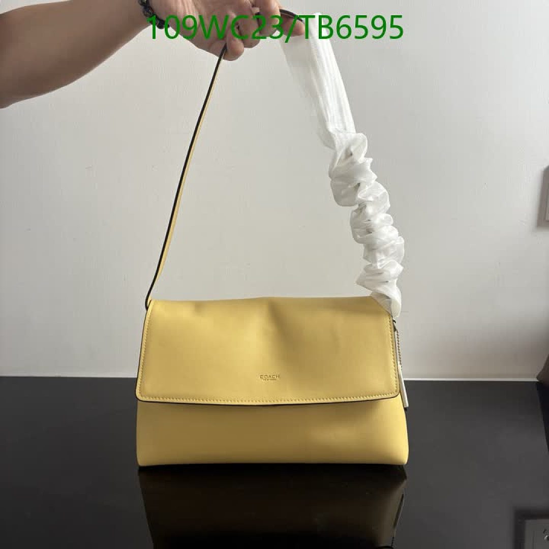 Coach-Bags(4A) Code: TB6595 $: 109USD