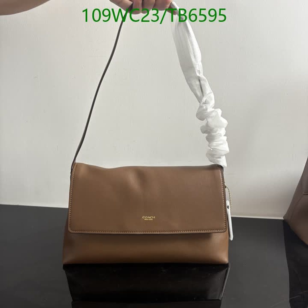 Coach-Bags(4A) Code: TB6595 $: 109USD