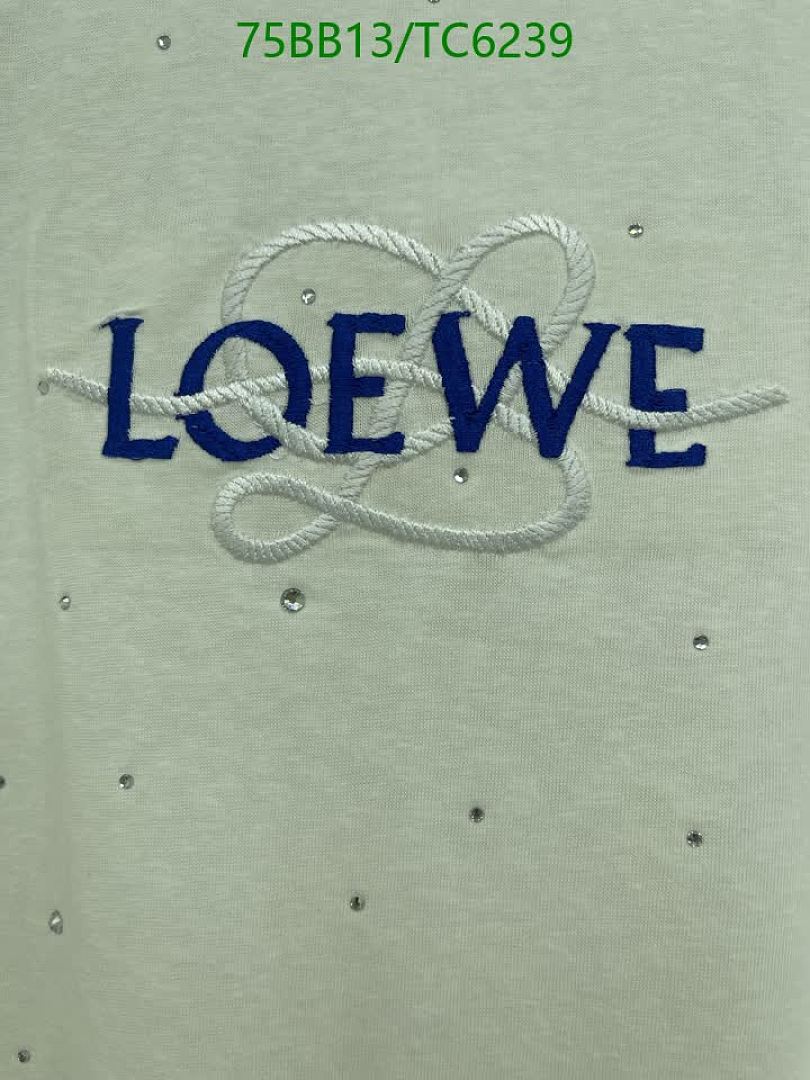 Loewe-Clothing Code: TC6239 $: 75USD