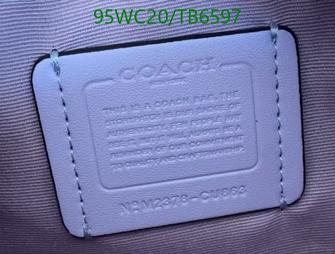 Coach-Bags(4A) Code: TB6597 $: 95USD